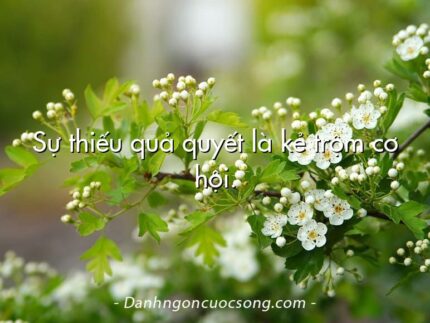 Sự thiếu quả quyết là kẻ trộm cơ hội.