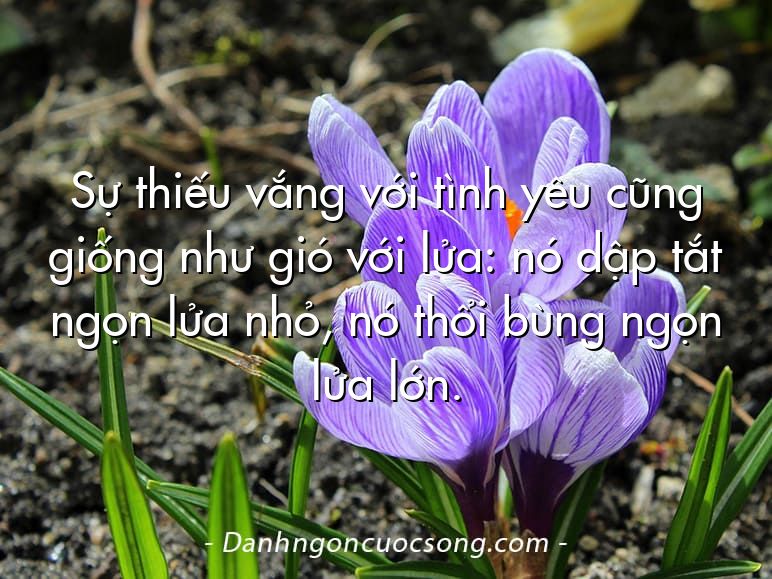 Sự thiếu vắng với tình yêu cũng giống như gió với lửa: nó dập tắt ngọn lửa nhỏ, nó thổi bùng ngọn lửa lớn.