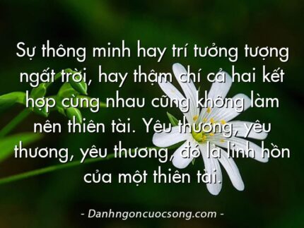 Sự thông minh hay trí tưởng tượng ngất trời, hay thậm chí cả hai kết hợp cùng nhau cũng không làm nên thiên tài. Yêu thương, yêu thương, yêu thương, đó là linh hồn của một thiên tài.