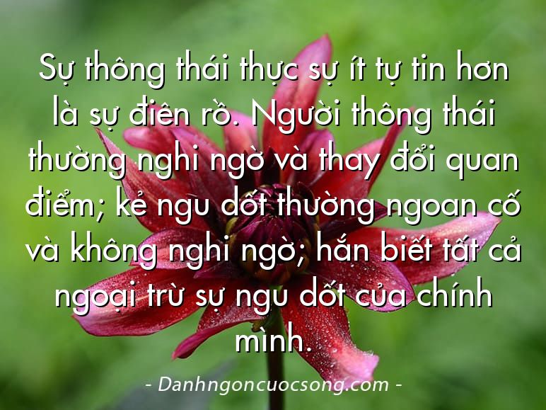 Sự thông thái thực sự ít tự tin hơn là sự điên rồ. Người thông thái thường nghi ngờ và thay đổi quan điểm; kẻ ngu dốt thường ngoan cố và không nghi ngờ; hắn biết tất cả ngoại trừ sự ngu dốt của chính mình.