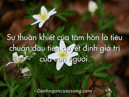 Sự thuần khiết của tâm hồn là tiêu chuẩn đầu tiên quyết định giá trị của con người.