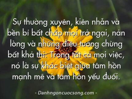 Sự thường xuyên, kiên nhẫn và bền bỉ bất chấp mọi trở ngại, nản lòng và những điều tưởng chừng bất khả thi: Trong tất cả mọi việc, nó là sự khác biệt giữa tâm hồn mạnh mẽ và tâm hồn yếu đuối.