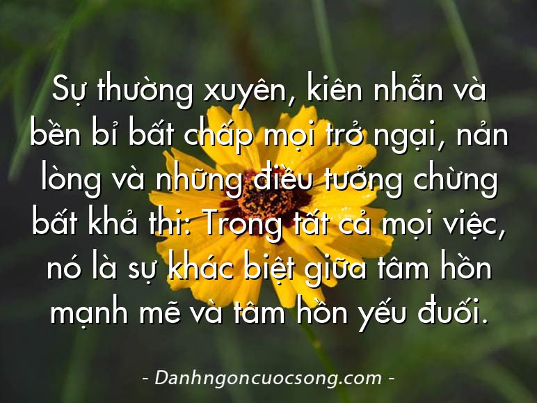 Sự thường xuyên, kiên nhẫn và bền bỉ bất chấp mọi trở ngại, nản lòng và những điều tưởng chừng bất khả thi: Trong tất cả mọi việc, nó là sự khác biệt giữa tâm hồn mạnh mẽ và tâm hồn yếu đuối.