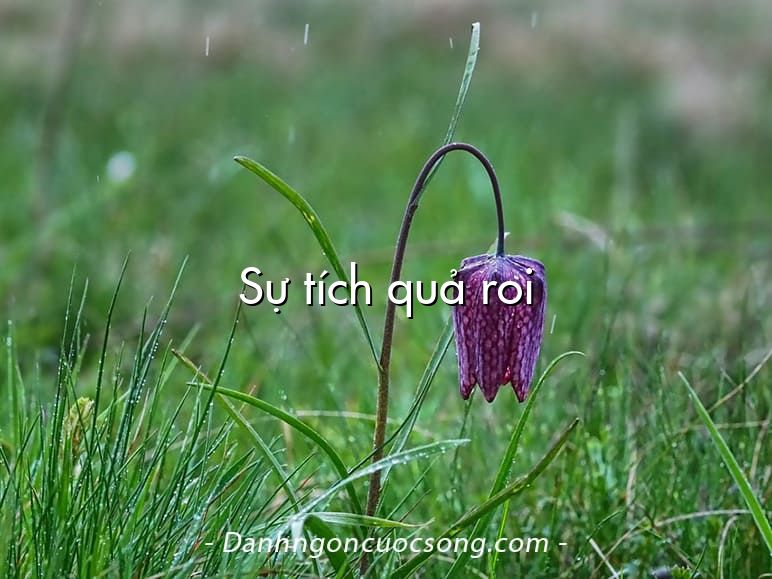 Sự tích quả roi