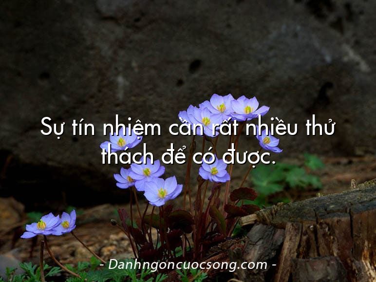 Sự tín nhiệm cần rất nhiều thử thách để có được.
