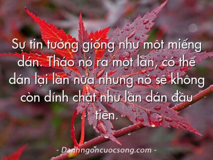 Sự tin tưởng giống như một miếng dán. Tháo nó ra một lần, có thể dán lại lần nữa nhưng nó sẽ không còn dính chặt như lần dán đầu tiên.