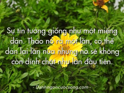 Sự tin tưởng giống như một miếng dán. Tháo nó ra một lần, có thể dán lại lần nữa nhưng nó sẽ không còn dính chặt như lần đầu tiên.