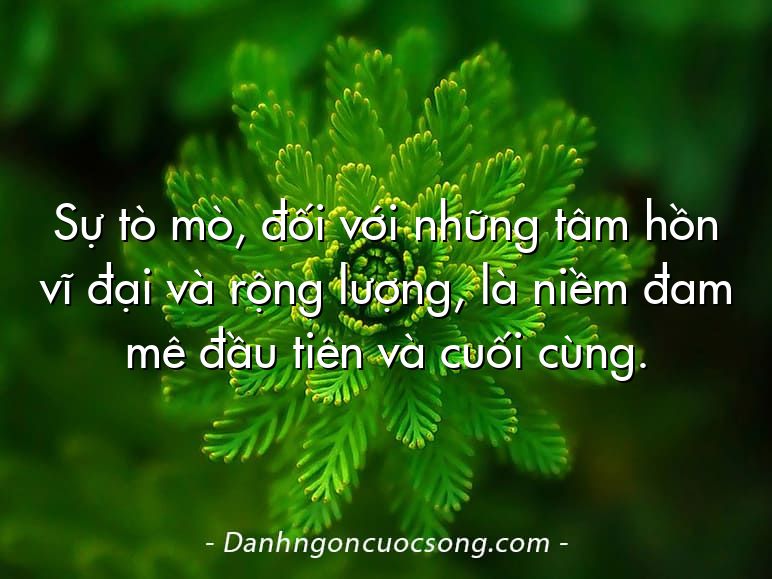 Sự tò mò, đối với những tâm hồn vĩ đại và rộng lượng, là niềm đam mê đầu tiên và cuối cùng.