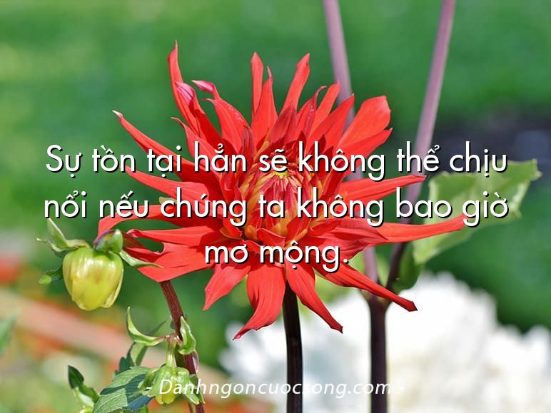 Sự tồn tại hẳn sẽ không thể chịu nổi nếu chúng ta không bao giờ mơ mộng.