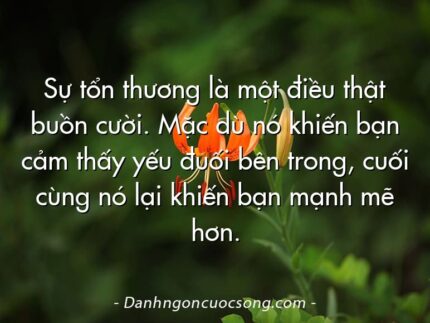 Sự tổn thương là một điều thật buồn cười. Mặc dù nó khiến bạn cảm thấy yếu đuối bên trong, cuối cùng nó lại khiến bạn mạnh mẽ hơn.