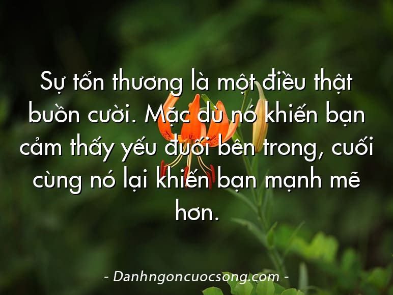Sự tổn thương là một điều thật buồn cười. Mặc dù nó khiến bạn cảm thấy yếu đuối bên trong, cuối cùng nó lại khiến bạn mạnh mẽ hơn.