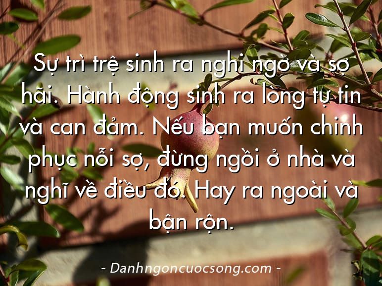 Sự trì trệ sinh ra nghi ngờ và sợ hãi. Hành động sinh ra lòng tự tin và can đảm. Nếu bạn muốn chinh phục nỗi sợ, đừng ngồi ở nhà và nghĩ về điều đó. Hay ra ngoài và bận rộn.