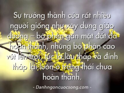 Sự trưởng thành của rất nhiều người giống như xây dựng giáo đường – bộ phận gần mặt đất đã hoàn thành, những bộ phận cao vút lên trời, tức là lầu tháp và đỉnh tháp lại luôn ở trạng thái chưa hoàn thành.