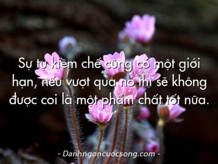 Sự tự kiềm chế cũng có một giới hạn, nếu vượt qua nó thì sẽ không được coi là một phẩm chất tốt nữa.