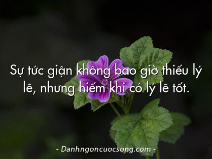 Sự tức giận không bao giờ thiếu lý lẽ, nhưng hiếm khi có lý lẽ tốt.