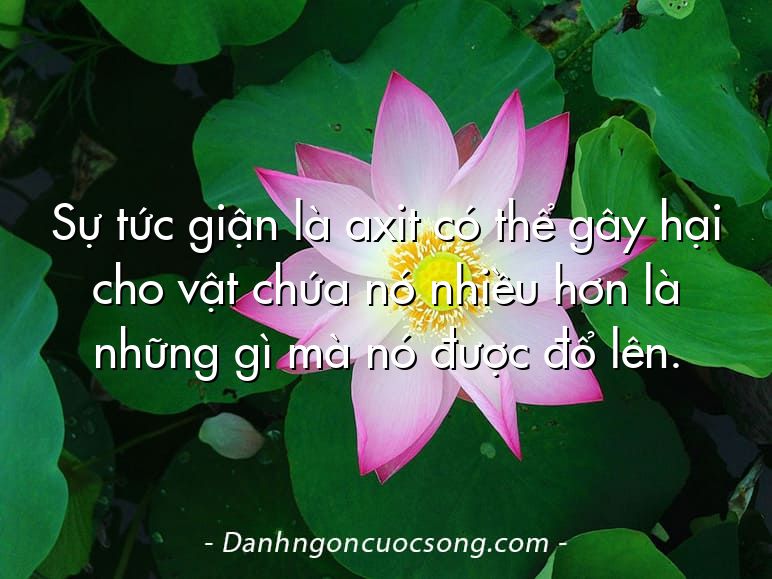 Sự tức giận là axit có thể gây hại cho vật chứa nó nhiều hơn là những gì mà nó được đổ lên.
