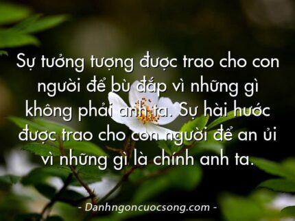 Sự tưởng tượng được trao cho con người để bù đắp vì những gì không phải anh ta. Sự hài hước được trao cho con người để an ủi vì những gì là chính anh ta.