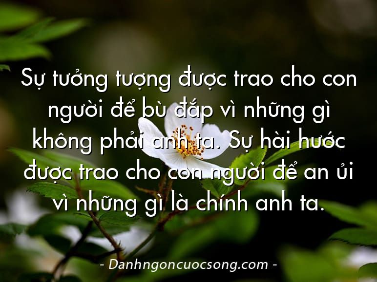 Sự tưởng tượng được trao cho con người để bù đắp vì những gì không phải anh ta. Sự hài hước được trao cho con người để an ủi vì những gì là chính anh ta.