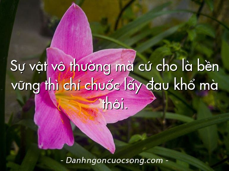 Sự vật vô thường mà cứ cho là bền vững thì chỉ chuốc lấy đau khổ mà thôi.