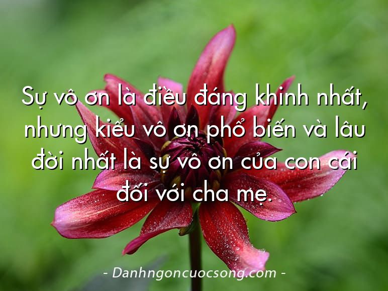 Sự vô ơn là điều đáng khinh nhất, nhưng kiểu vô ơn phổ biến và lâu đời nhất là sự vô ơn của con cái đối với cha mẹ.