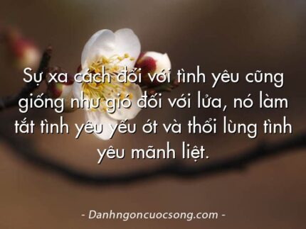 Sự xa cách đối với tình yêu cũng giống như gió đối với lửa, nó làm tắt tình yêu yếu ớt và thổi lùng tình yêu mãnh liệt.