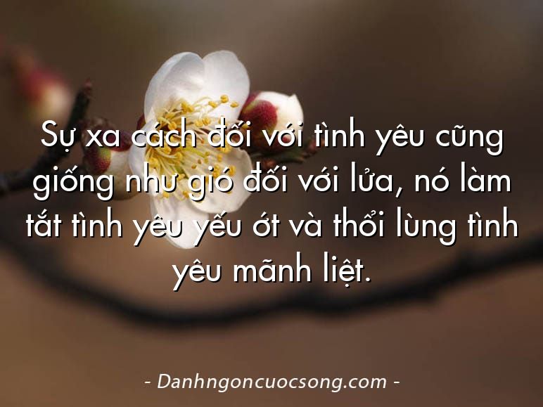 Sự xa cách đối với tình yêu cũng giống như gió đối với lửa, nó làm tắt tình yêu yếu ớt và thổi lùng tình yêu mãnh liệt.