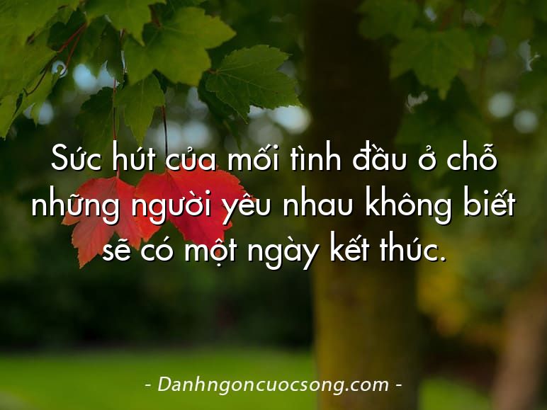 Sức hút của mối tình đầu ở chỗ những người yêu nhau không biết sẽ có một ngày kết thúc.