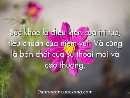 Sức khỏe là điều kiện của trí tuệ, tiêu chuẩn của niềm vui. Và cũng là bản chất của sự thoải mái và cao thượng.