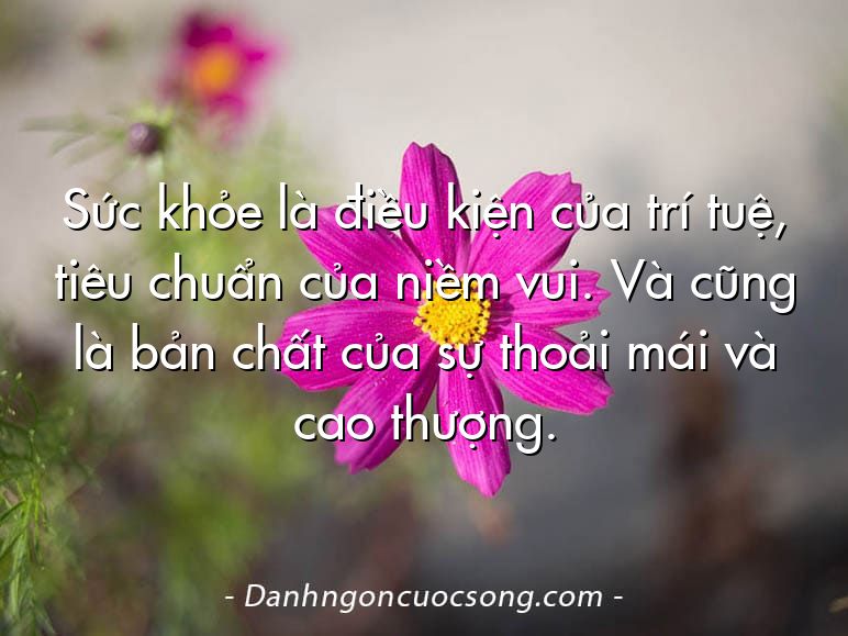 Sức khỏe là điều kiện của trí tuệ, tiêu chuẩn của niềm vui. Và cũng là bản chất của sự thoải mái và cao thượng.