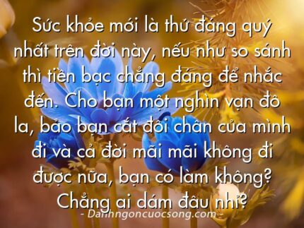 Sức khỏe mới là thứ đáng quý nhất trên đời này, nếu như so sánh thì tiền bạc chẳng đáng để nhắc đến. Cho bạn một nghìn vạn đô la, bảo bạn cắt đôi chân của mình đi và cả đời mãi mãi không đi được nữa, bạn có làm không? Chẳng ai dám đâu nhỉ?