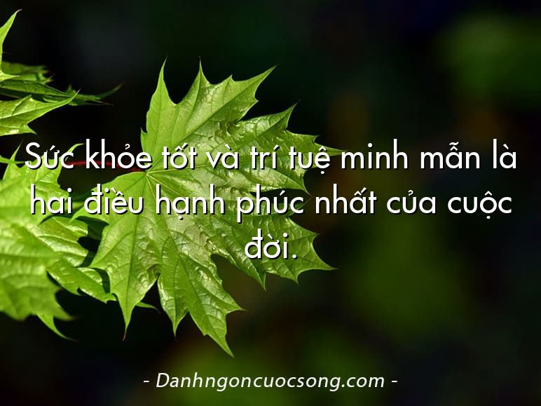 Sức khỏe tốt và trí tuệ minh mẫn là hai điều hạnh phúc nhất của cuộc đời.