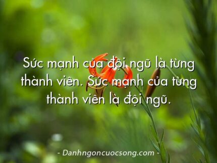 Sức mạnh của đội ngũ là từng thành viên. Sức mạnh của từng thành viên là đội ngũ.