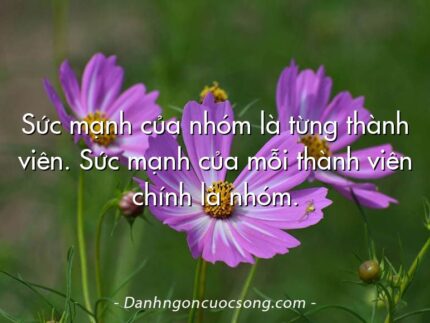 Sức mạnh của nhóm là từng thành viên. Sức mạnh của mỗi thành viên chính là nhóm.