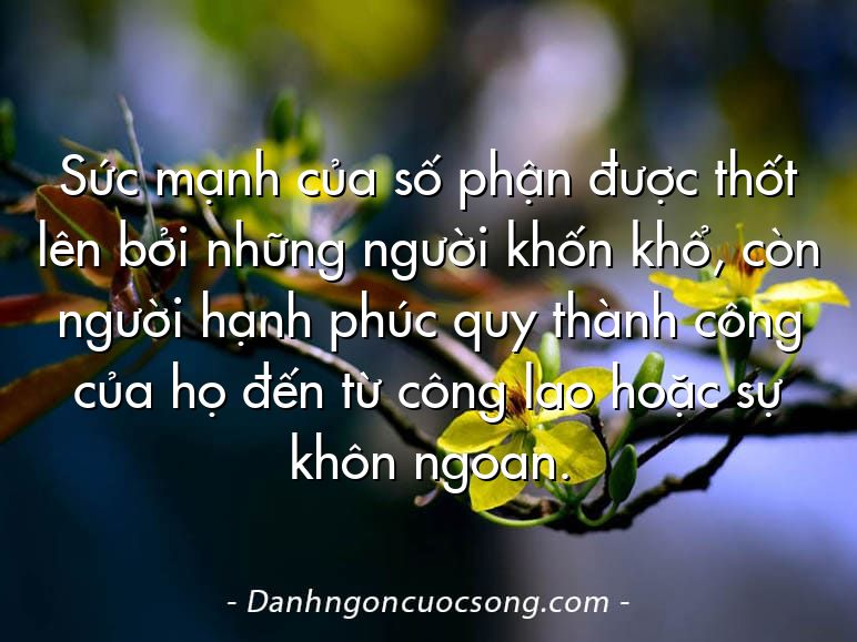 Sức mạnh của số phận được thốt lên bởi những người khốn khổ, còn người hạnh phúc quy thành công của họ đến từ công lao hoặc sự khôn ngoan.