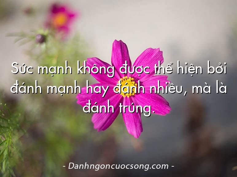 Sức mạnh không được thể hiện bởi đánh mạnh hay đánh nhiều, mà là đánh trúng.