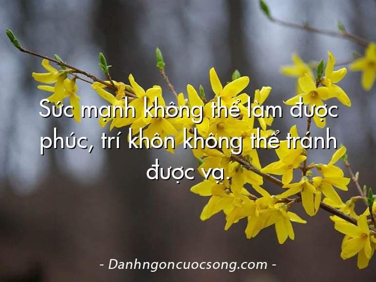 Sức mạnh không thể làm được phúc, trí khôn không thể tránh được vạ.