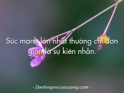 Sức mạnh lớn nhất thường chỉ đơn giản là sự kiên nhẫn.