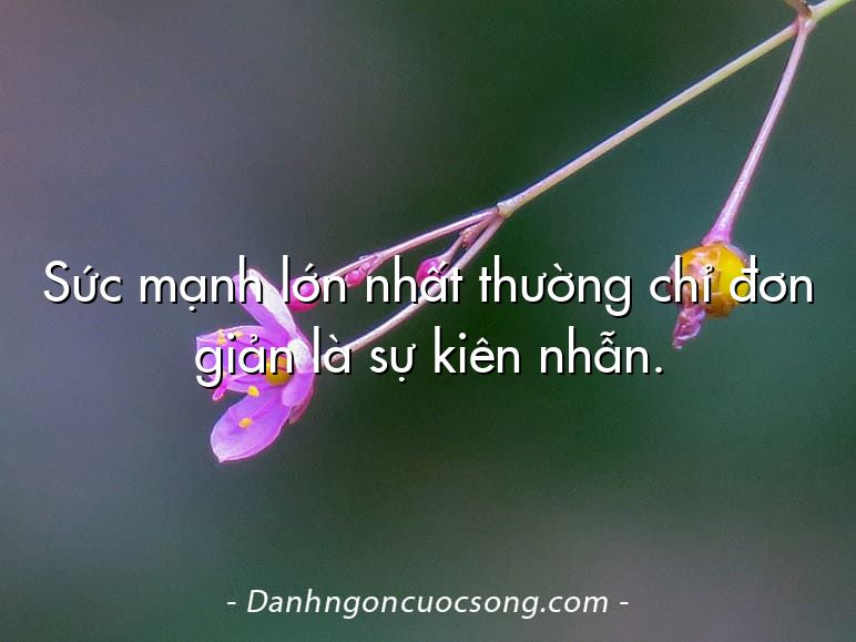 Sức mạnh lớn nhất thường chỉ đơn giản là sự kiên nhẫn.