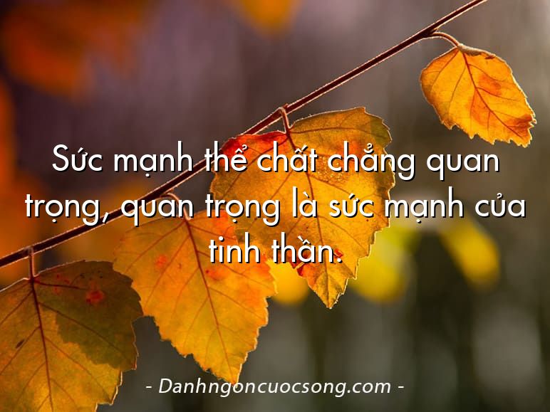 Sức mạnh thể chất chẳng quan trọng, quan trọng là sức mạnh của tinh thần.
