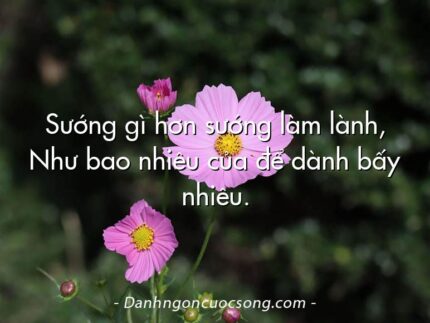 Sướng gì hơn sướng làm lành, Như bao nhiêu của để dành bấy nhiêu.
