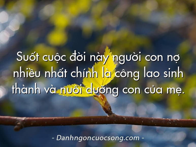 Suốt cuộc đời này người con nợ nhiều nhất chính là công lao sinh thành và nuôi dưỡng con của mẹ.
