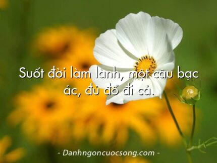 Suốt đời làm lành, một câu bạc ác, đủ đổ đi cả.