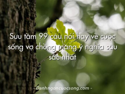 Sưu tầm 99 câu nói hay về cuộc sống vợ chồng mang ý nghĩa sâu sắc nhất