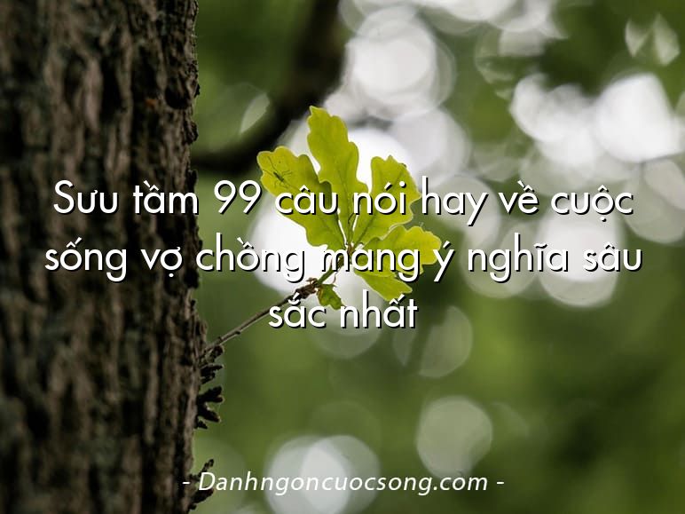Sưu tầm 99 câu nói hay về cuộc sống vợ chồng mang ý nghĩa sâu sắc nhất