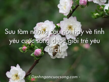 Sưu tầm những câu nói hay về tình yêu cuộc sống được giới trẻ yêu thích