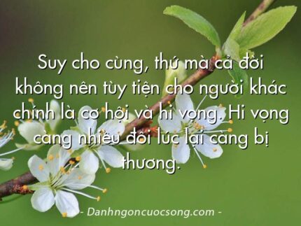 Suy cho cùng, thứ mà cả đời không nên tùy tiện cho người khác chính là cơ hội và hi vọng. Hi vọng càng nhiều đôi lúc lại càng bị thương.
