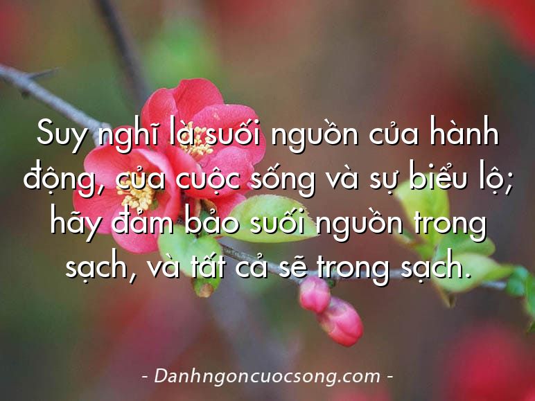 Suy nghĩ là suối nguồn của hành động, của cuộc sống và sự biểu lộ; hãy đảm bảo suối nguồn trong sạch, và tất cả sẽ trong sạch.