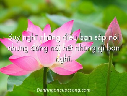 Suy nghĩ những điều bạn sắp nói nhưng đừng nói hết những gì bạn nghĩ.