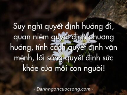 Suy nghĩ quyết định hướng đi, quan niệm quyết định phương hướng, tính cách quyết định vận mệnh, lối sống quyết định sức khỏe của mỗi con người!
