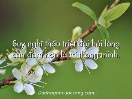 Suy nghĩ thấu triệt đòi hỏi lòng can đảm hơn là trí thông minh.